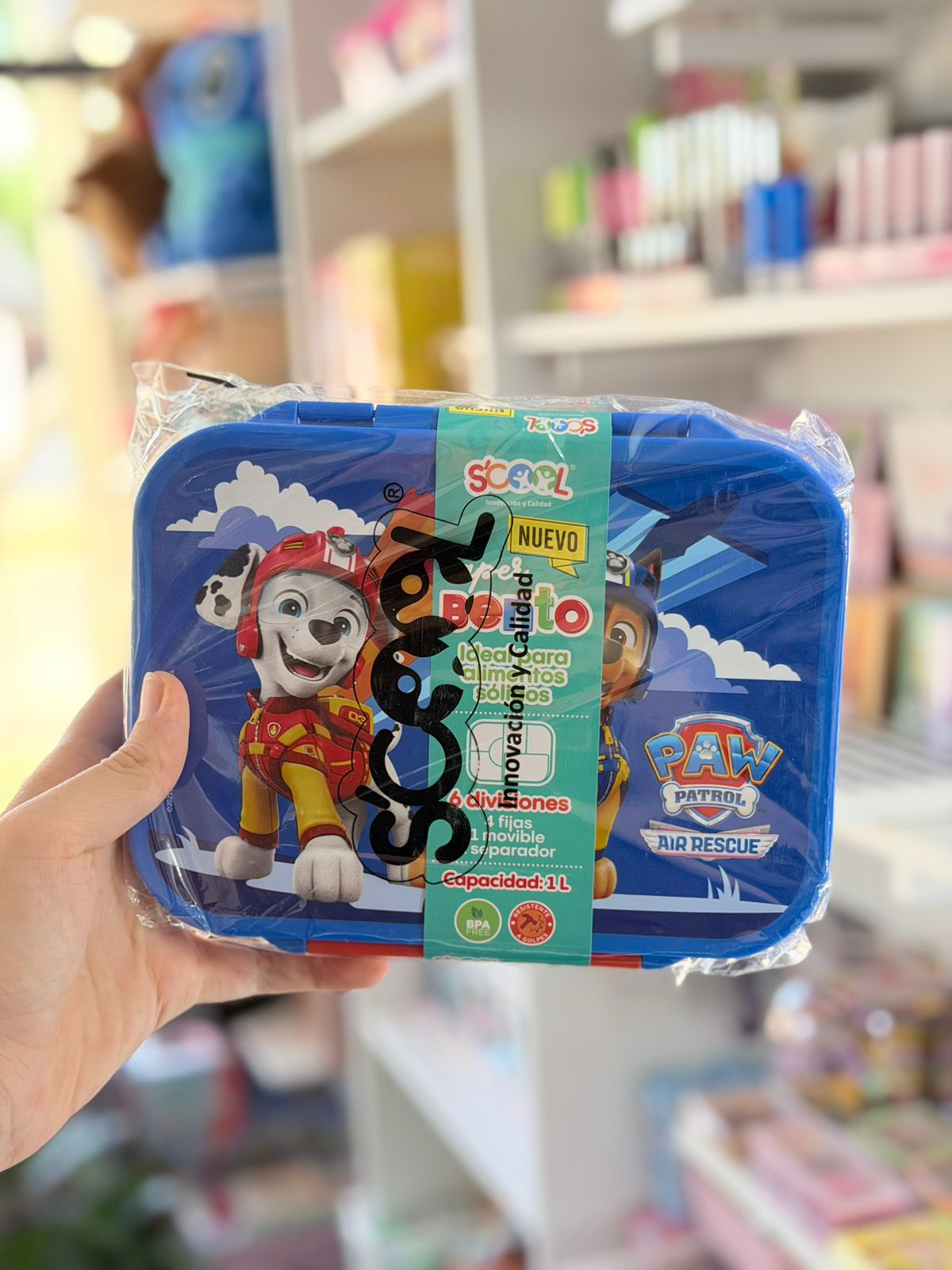 Lunchera 6 divisiones